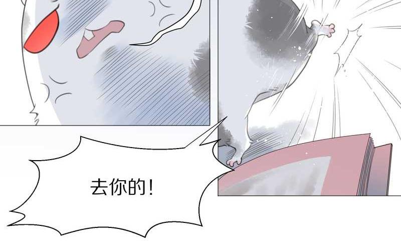 毛球星传说 第1集(1/2)-第1话