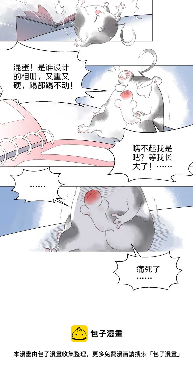 毛球星传说 第1集(1/2)-第1话