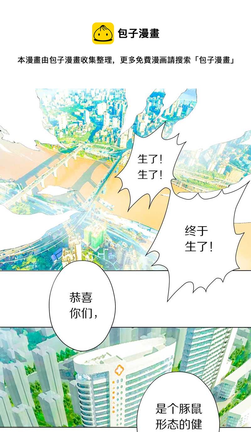 毛球星传说 第1集(1/2)-第1话