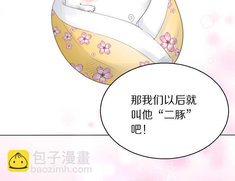 毛球星传说 第1集(1/2)-第1话