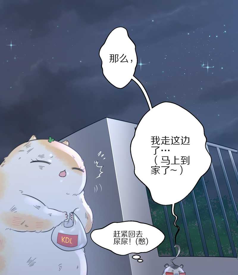 毛球星传说 第11集-第11话