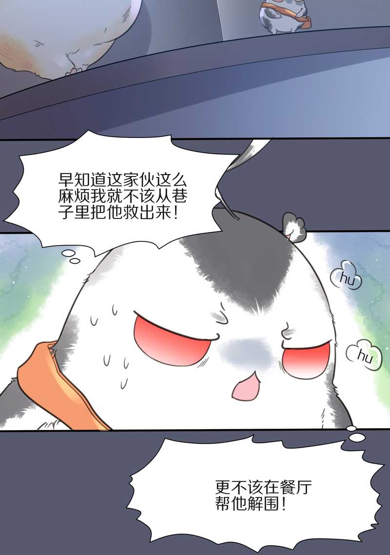 毛球星传说 第11集-第11话
