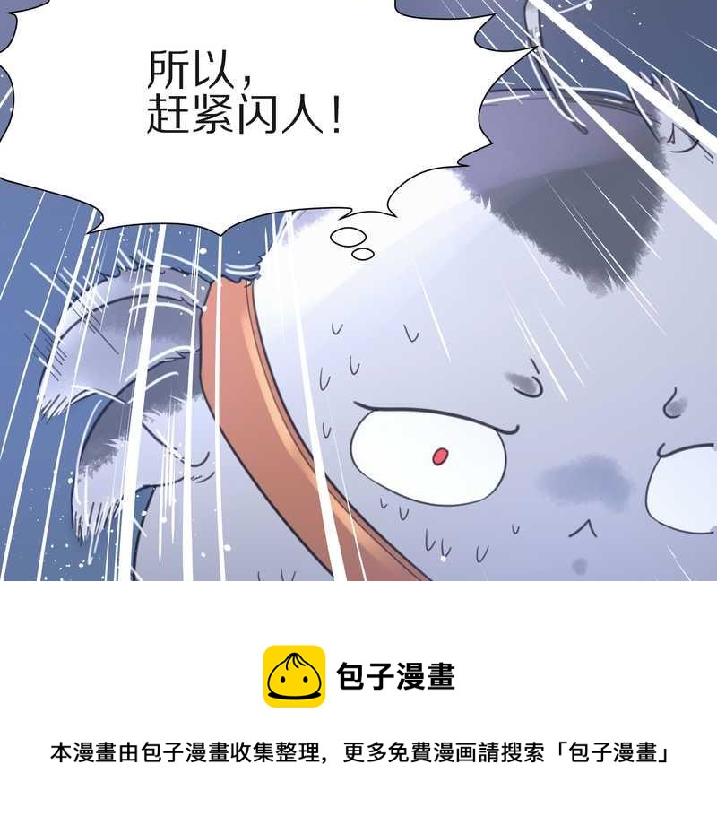 毛球星传说 第11集-第11话