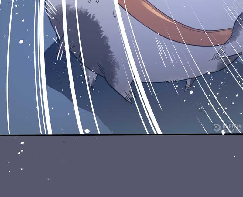 毛球星传说 第11集-第11话