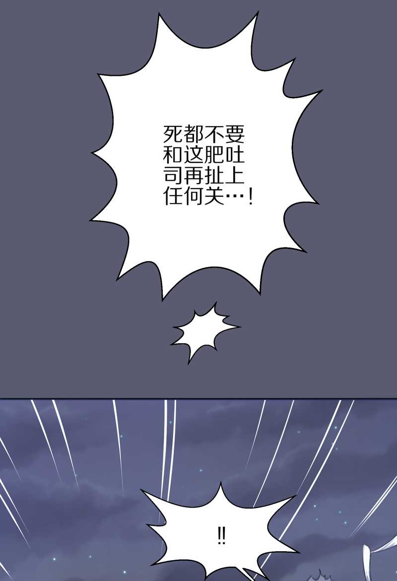 毛球星传说 第11集-第11话