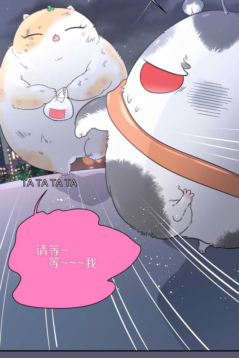 毛球星传说 第11集-第11话