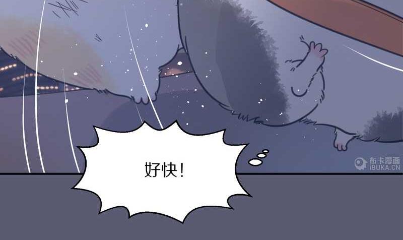 毛球星传说 第11集-第11话