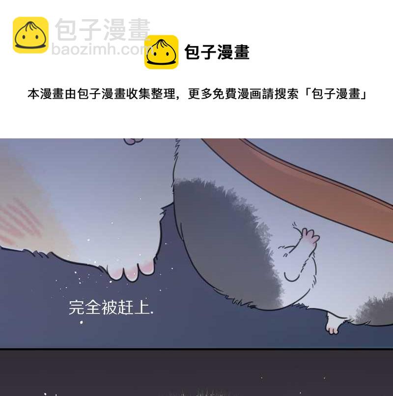 毛球星传说 第11集-第11话