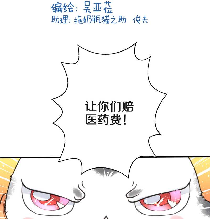 毛球星传说 第11集-第11话