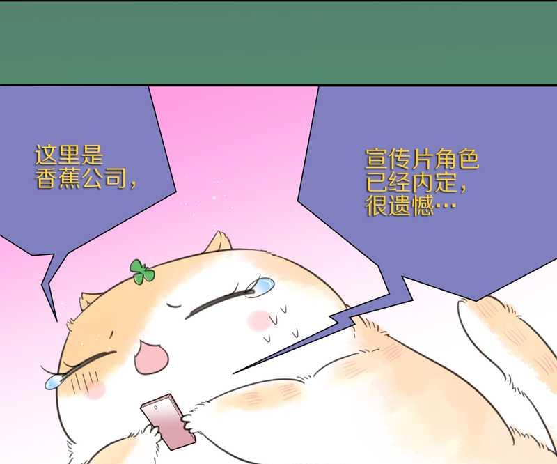 毛球星传说 第11集-第11话