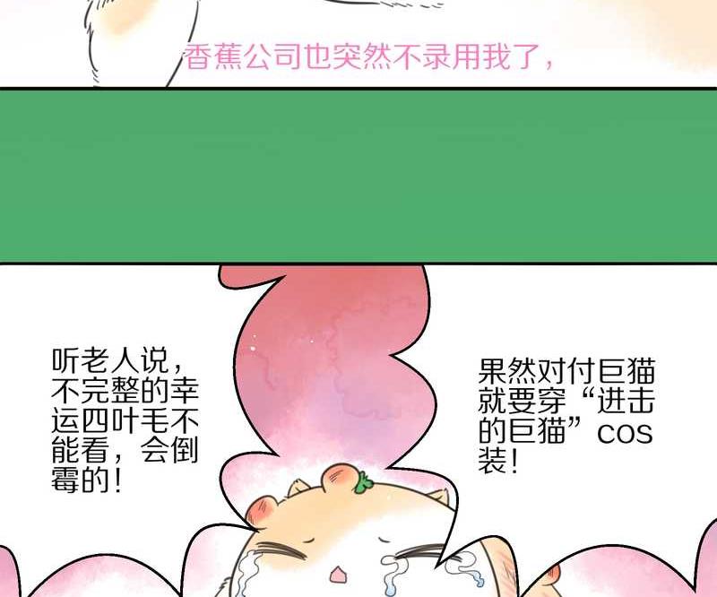毛球星传说 第11集-第11话