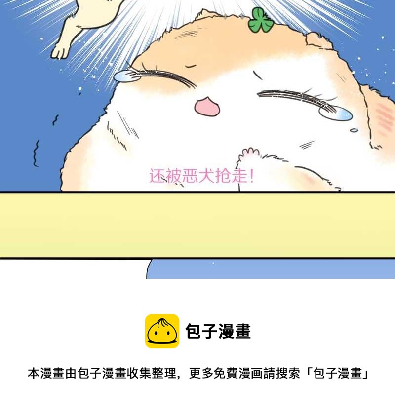 毛球星传说 第11集-第11话