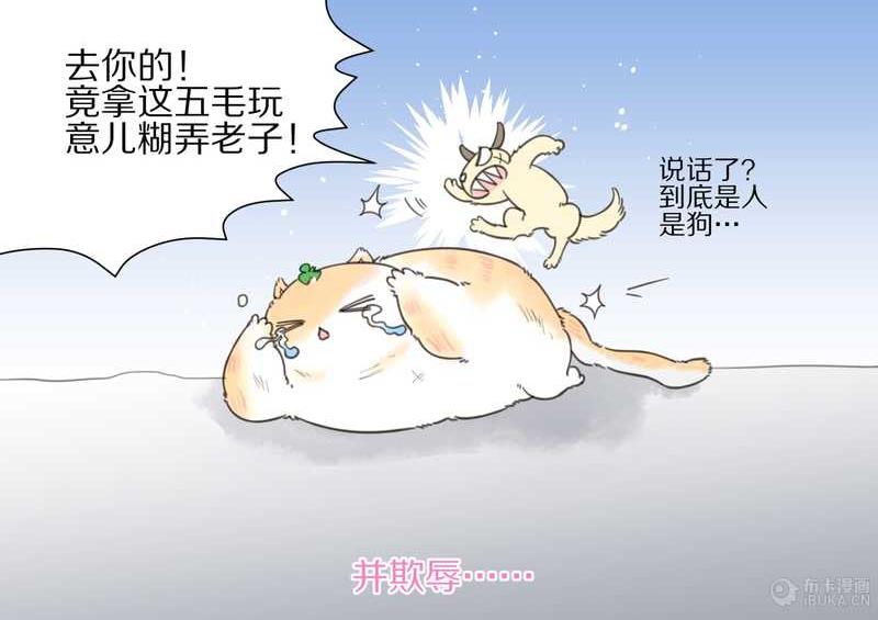 毛球星传说 第11集-第11话