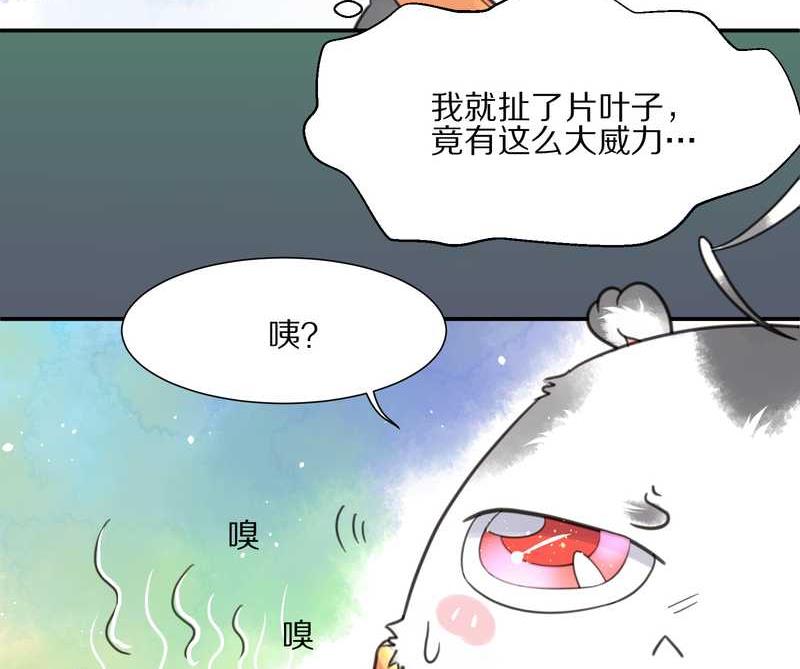 毛球星传说 第11集-第11话