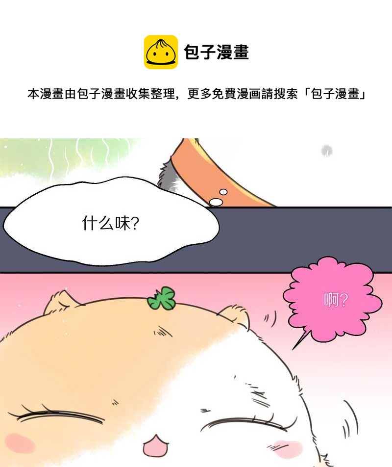 毛球星传说 第11集-第11话