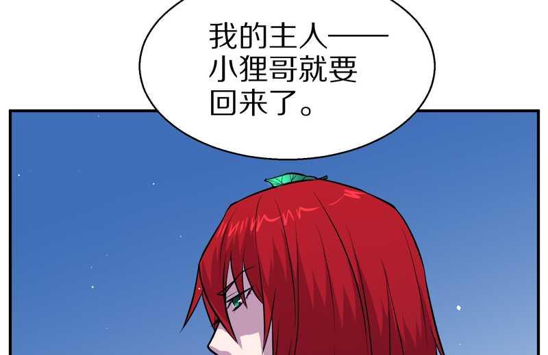 毛球星传说 第103集(1/2)-第103话
