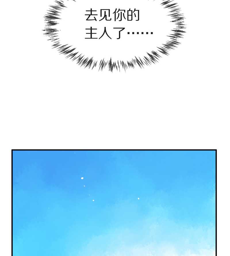 毛球星传说 第103集(1/2)-第103话