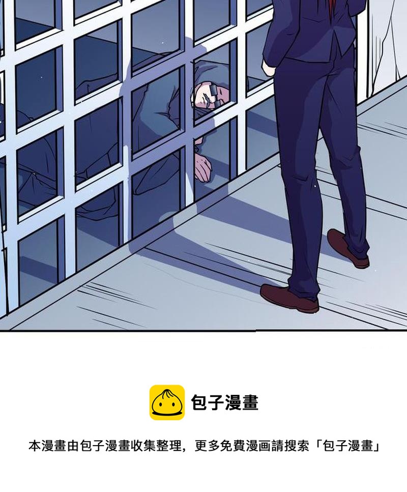 毛球星传说  第105集(1/3)-第105话
