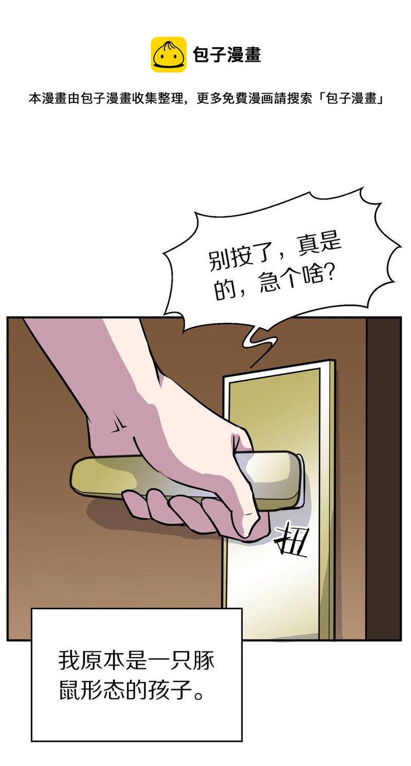 毛球星传说  第105集(1/3)-第105话