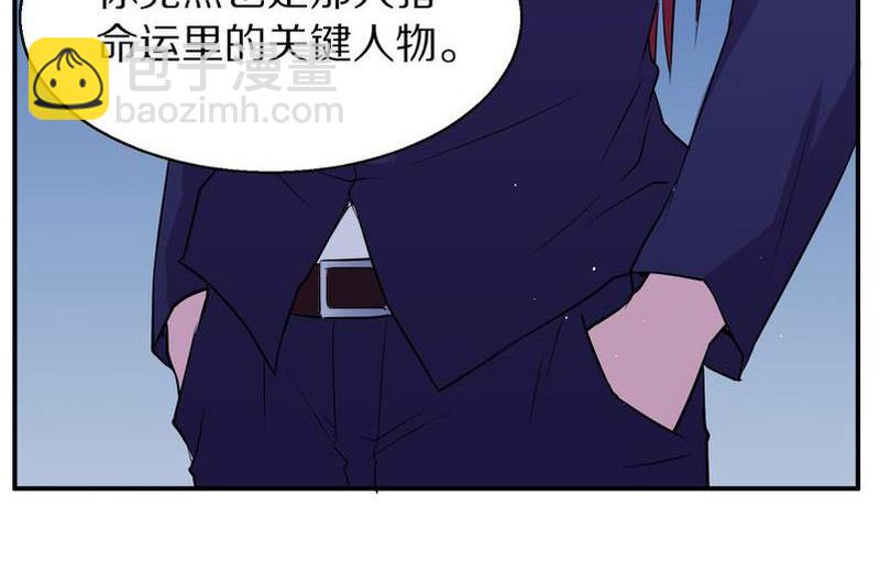 毛球星传说  第105集(1/3)-第105话