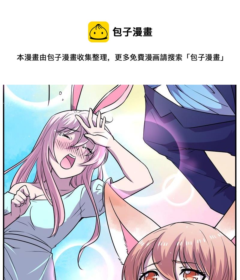 毛球星传说  第107集(1/3)-第107话