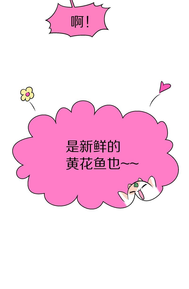 毛球星传说  第113集(1/2)-第113话