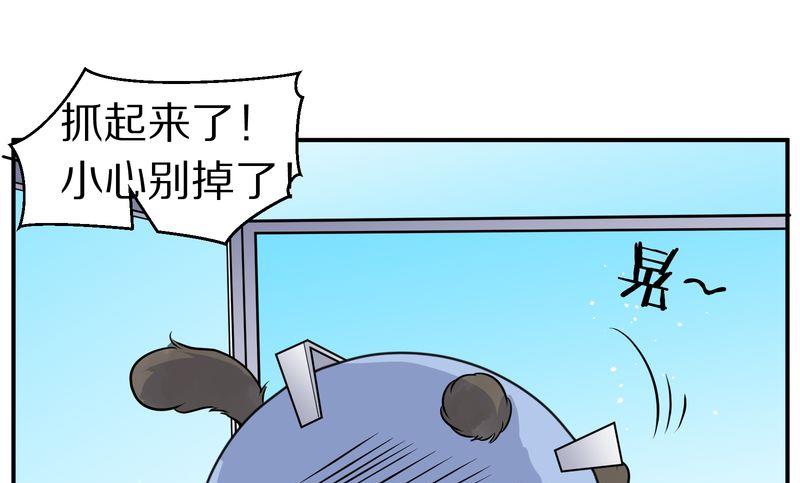 毛球星传说  第115集(1/3)-第115话