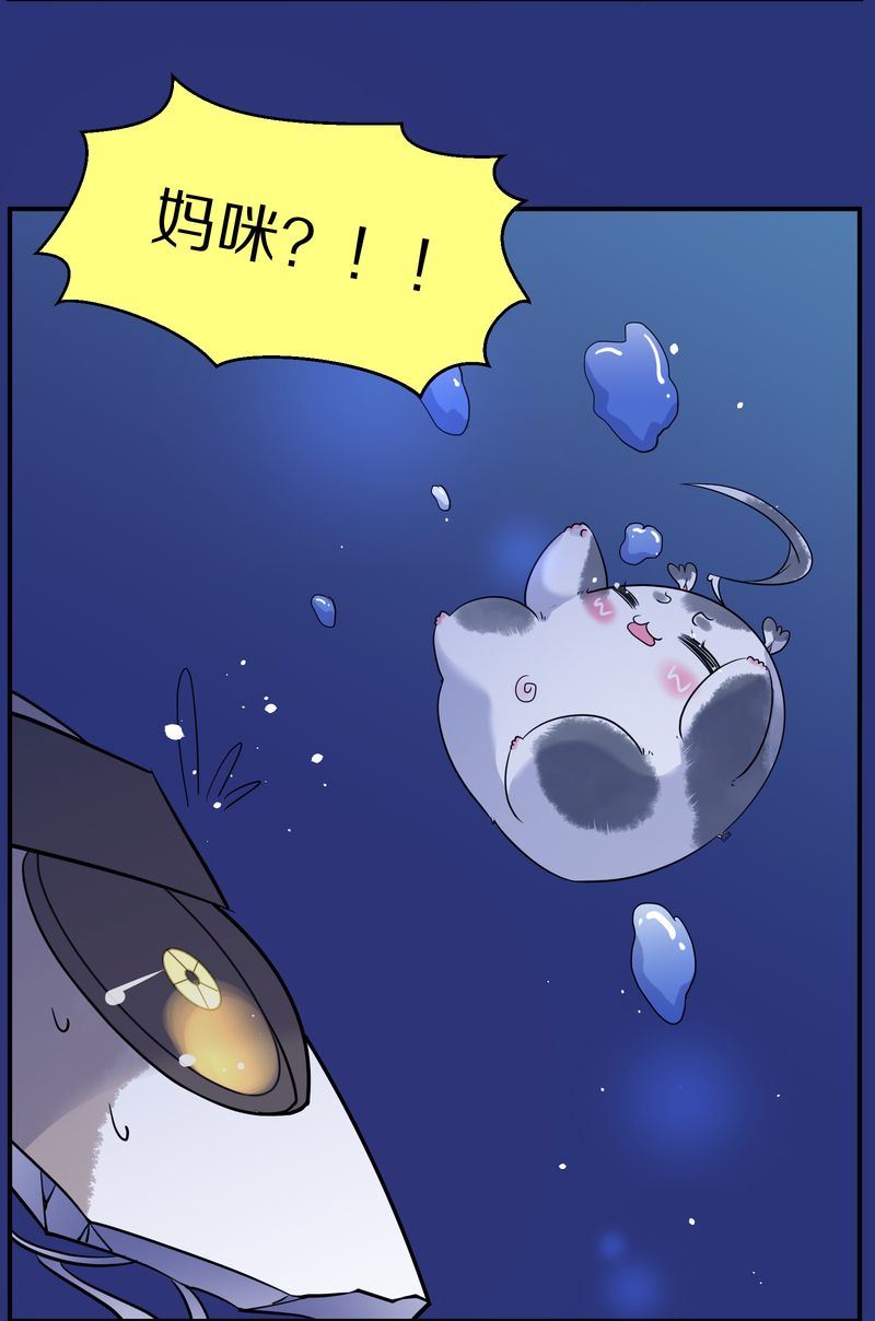 毛球星传说  第117集(1/4)-第117话