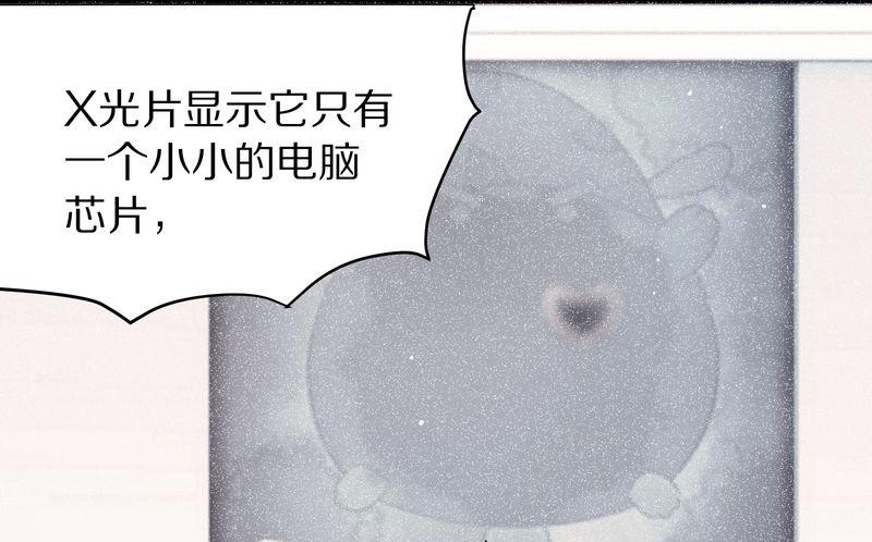 毛球星传说  第117集(1/4)-第117话