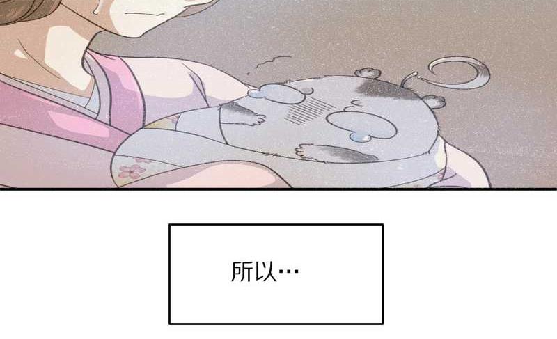 毛球星传说 第13集(1/2)-第13话
