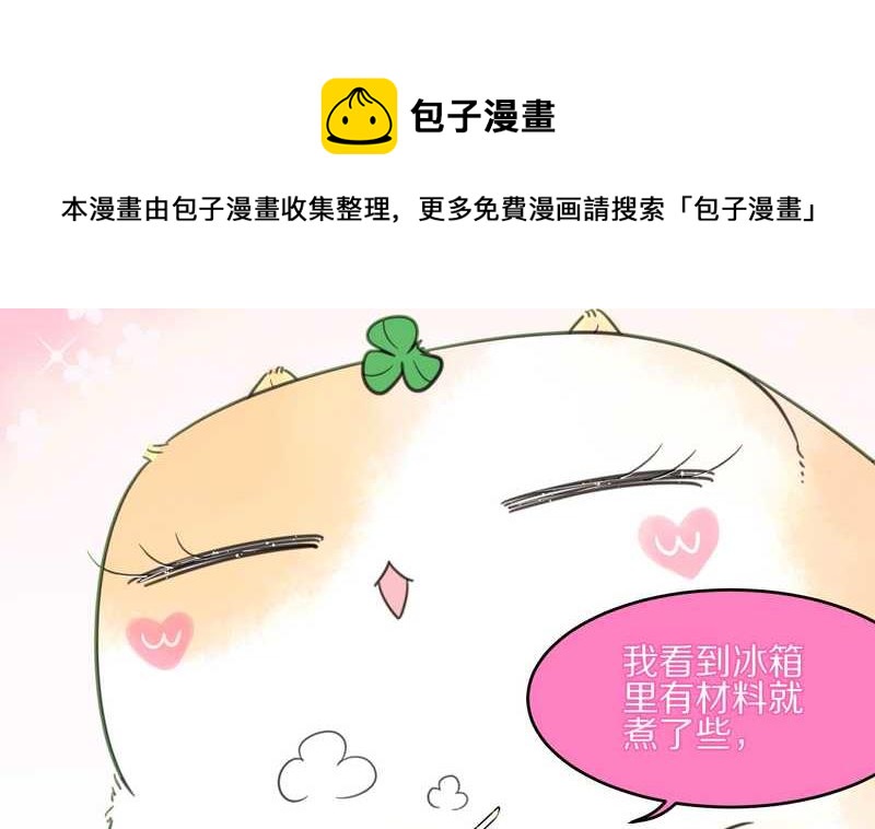 毛球星传说 第13集(1/2)-第13话