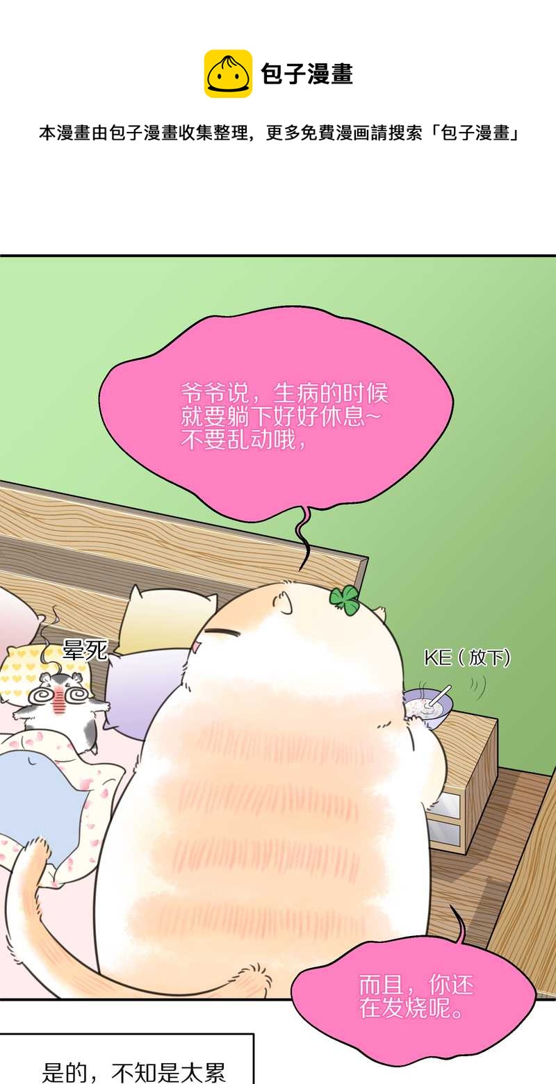 毛球星传说 第13集(1/2)-第13话