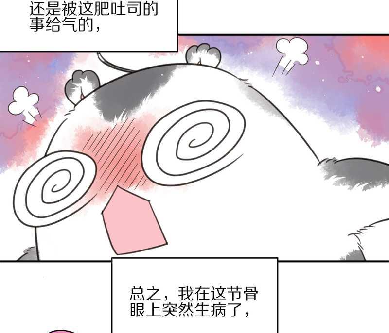 毛球星传说 第13集(1/2)-第13话