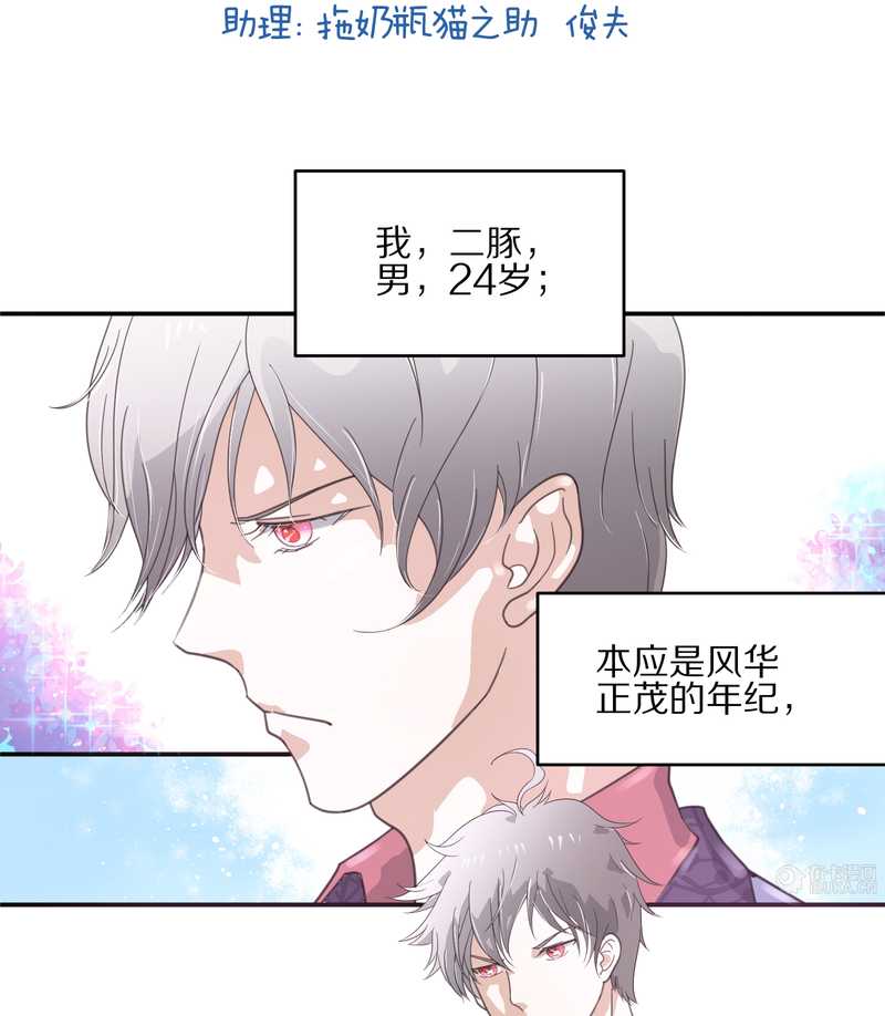 毛球星传说 第13集(1/2)-第13话