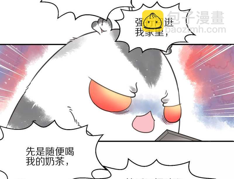 毛球星传说 第13集(1/2)-第13话