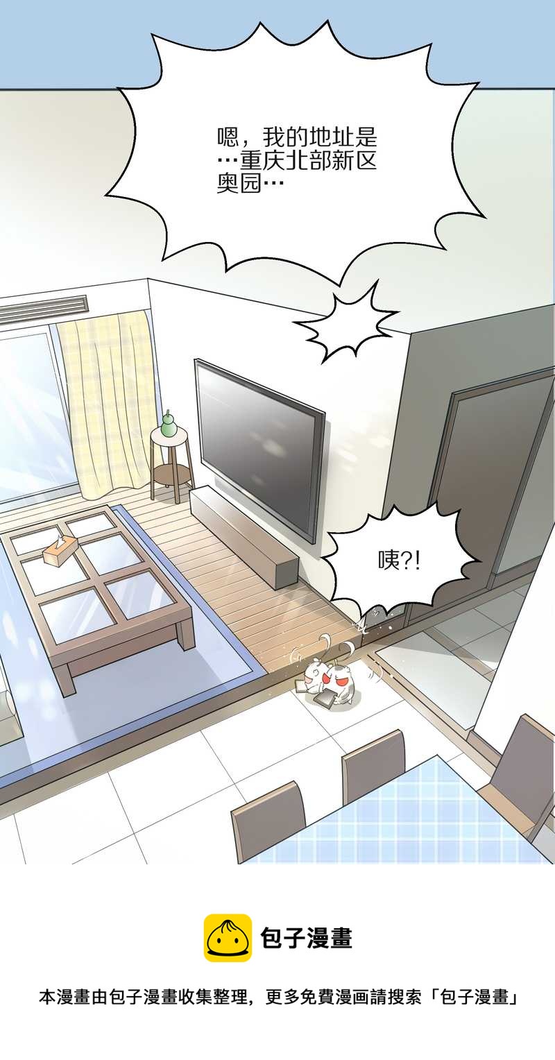 毛球星传说 第13集(1/2)-第13话