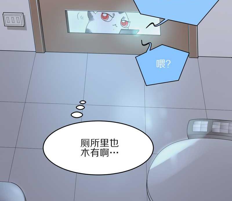 毛球星传说 第13集(1/2)-第13话
