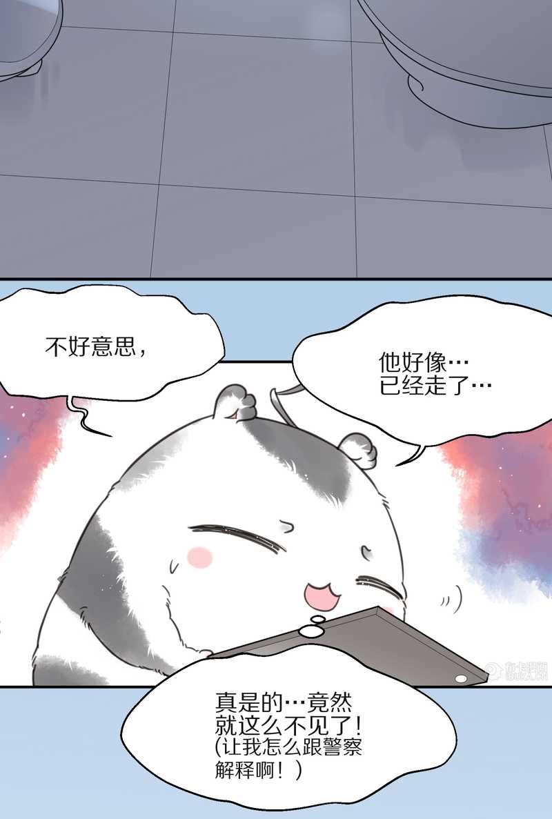 毛球星传说 第13集(1/2)-第13话