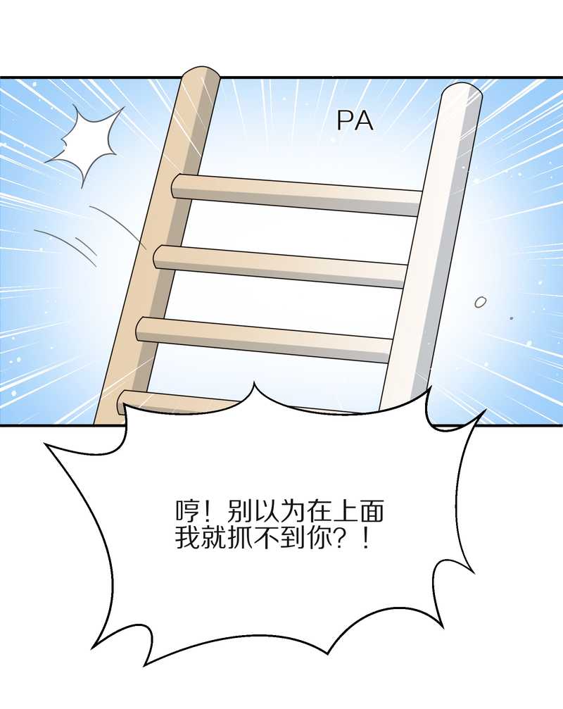 毛球星传说 第15集(1/2)-第15话