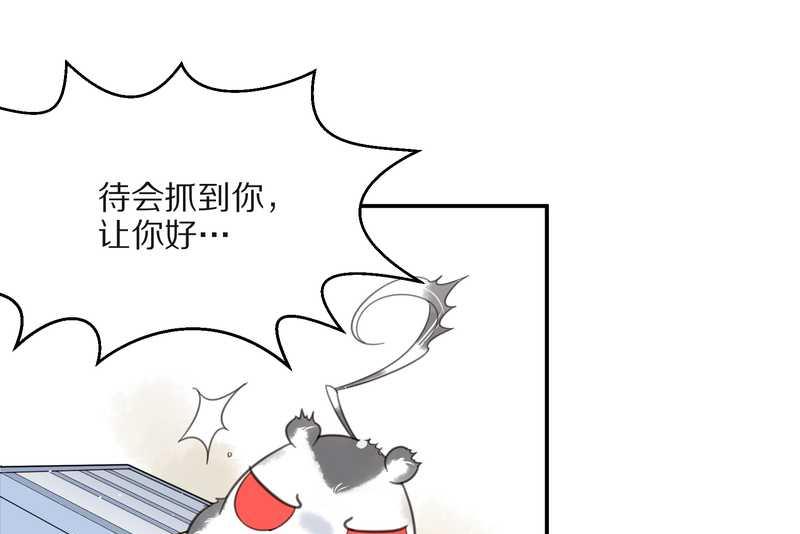 毛球星传说 第15集(1/2)-第15话