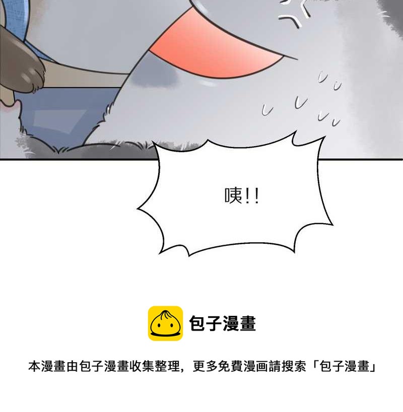 毛球星传说 第15集(1/2)-第15话