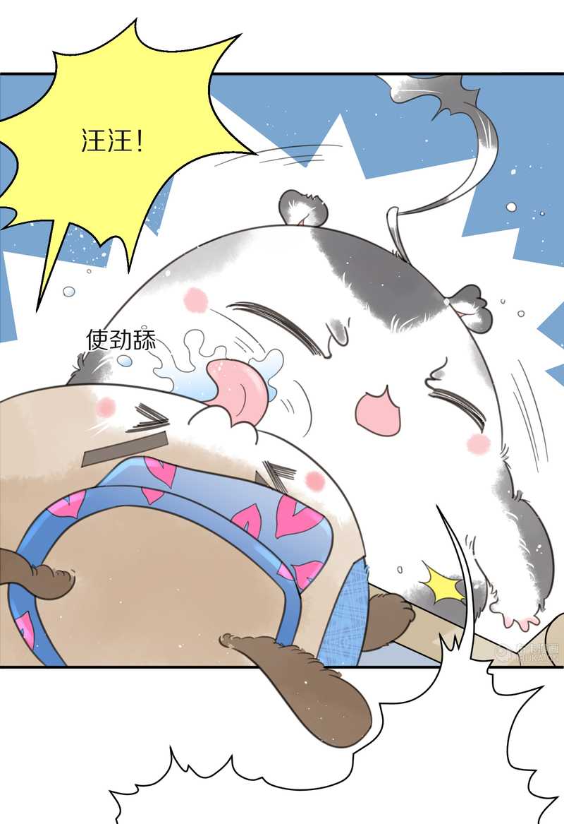 毛球星传说 第15集(1/2)-第15话