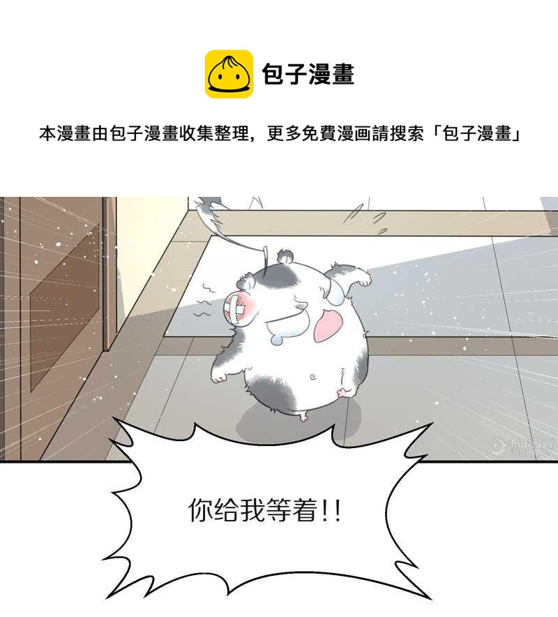 毛球星传说 第15集(1/2)-第15话