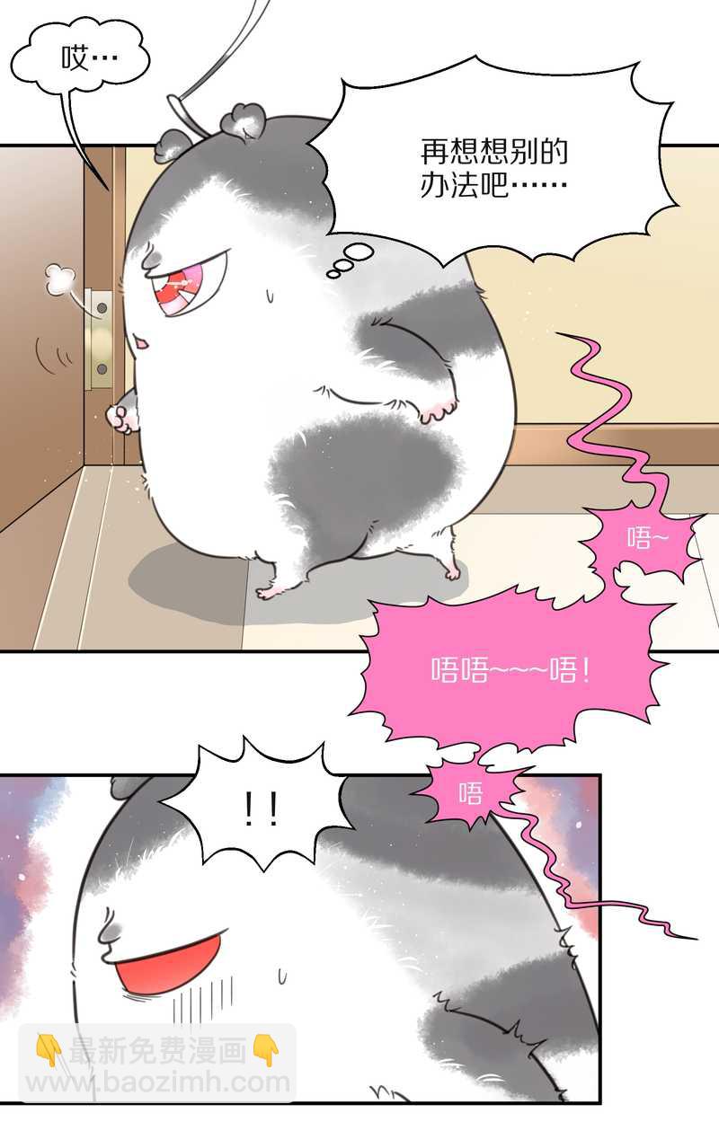 毛球星传说 第15集(1/2)-第15话