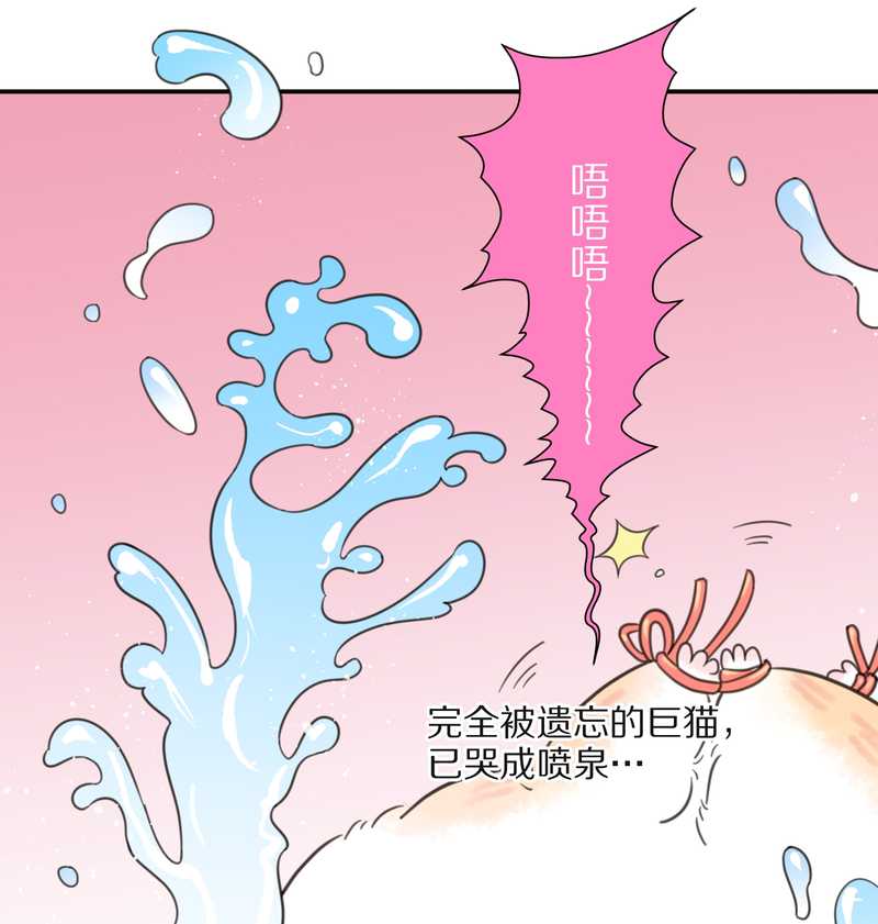 毛球星传说 第15集(1/2)-第15话