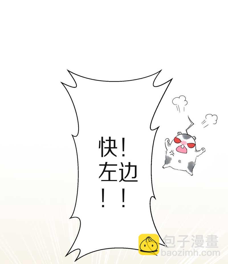 毛球星传说 第15集(1/2)-第15话