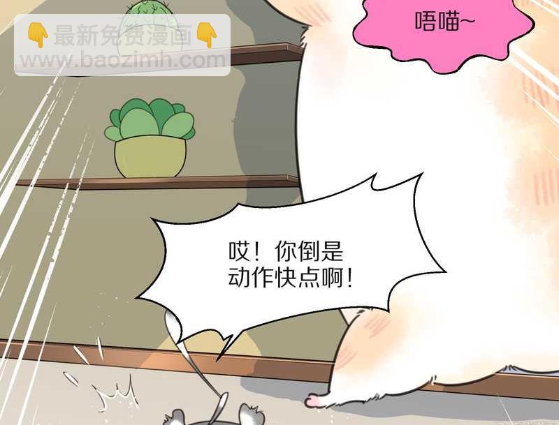 毛球星传说 第15集(1/2)-第15话