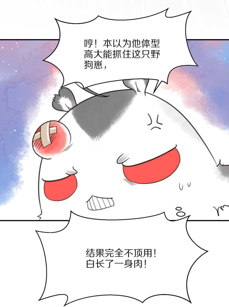毛球星传说 第15集(1/2)-第15话