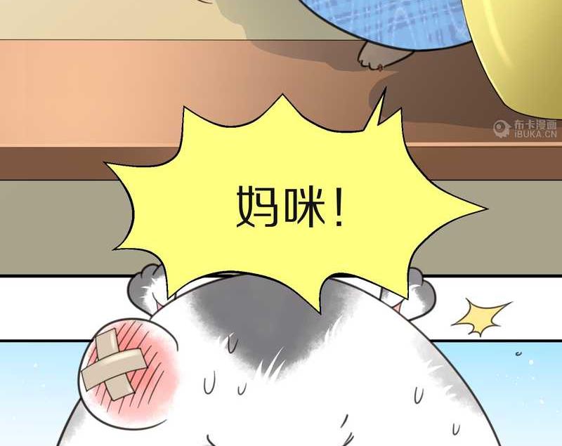 毛球星传说 第15集(1/2)-第15话