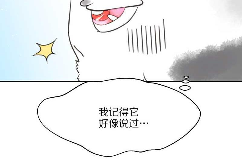 毛球星传说 第15集(1/2)-第15话